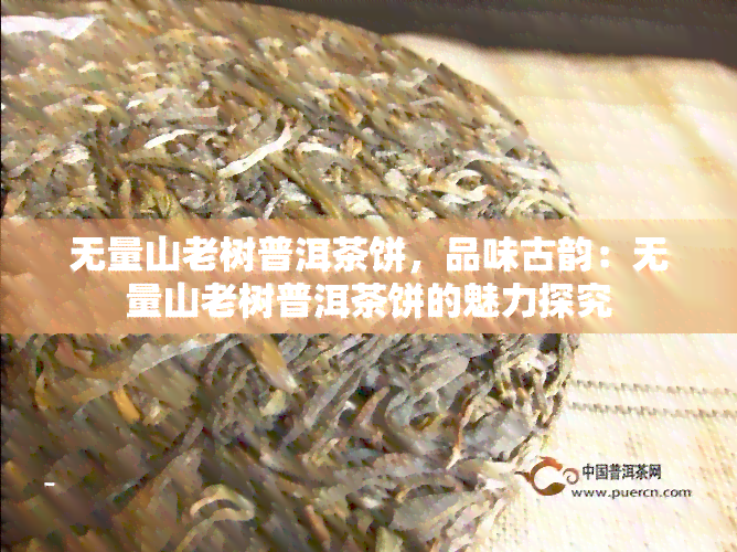 无量山老树普洱茶饼，品味古韵：无量山老树普洱茶饼的魅力探究