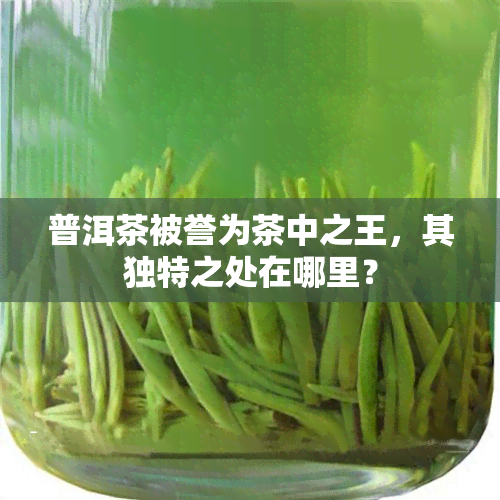 普洱茶被誉为茶中之王，其独特之处在哪里？