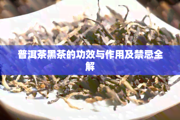 普洱茶黑茶的功效与作用及禁忌全解