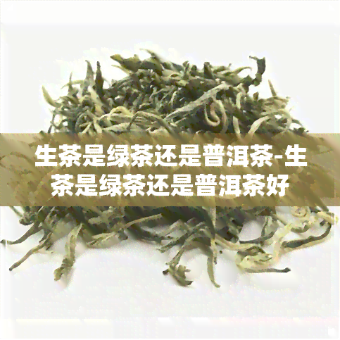 生茶是绿茶还是普洱茶-生茶是绿茶还是普洱茶好