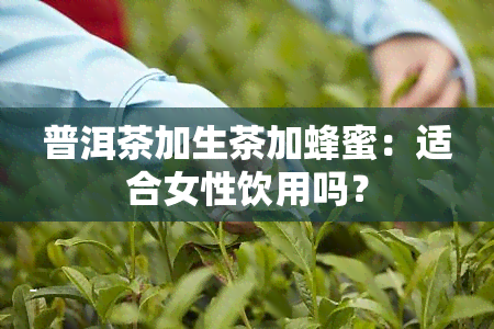 普洱茶加生茶加蜂蜜：适合女性饮用吗？