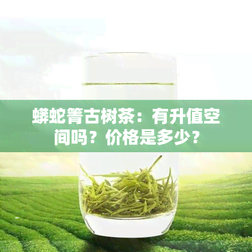 蟒蛇箐古树茶：有升值空间吗？价格是多少？