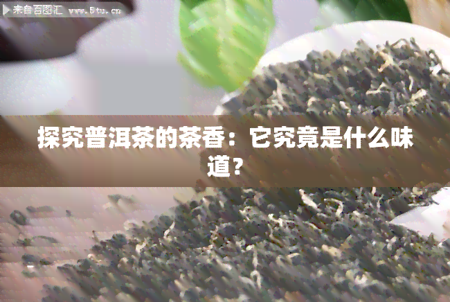 探究普洱茶的茶香：它究竟是什么味道？