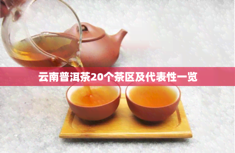 云南普洱茶20个茶区及代表性一览