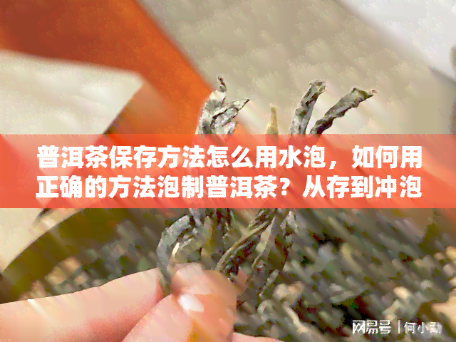 普洱茶保存方法怎么用水泡，如何用正确的方法泡制普洱茶？从存到冲泡全解析！