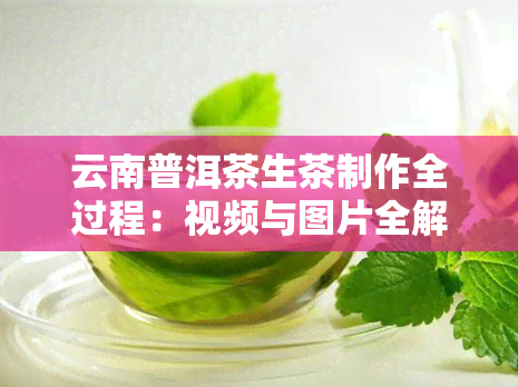 云南普洱茶生茶制作全过程：视频与图片全解析