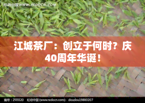 江城茶厂：创立于何时？庆40周年华诞！