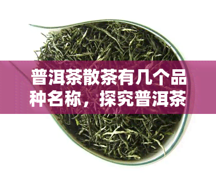 普洱茶散茶有几个品种名称，探究普洱茶散茶的多个品种名称