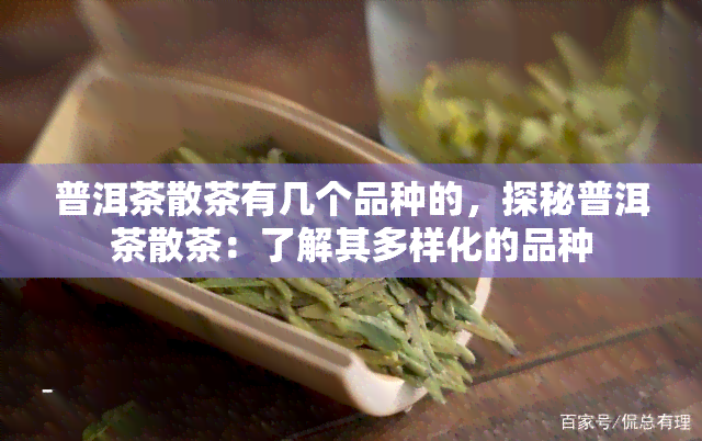 普洱茶散茶有几个品种的，探秘普洱茶散茶：了解其多样化的品种