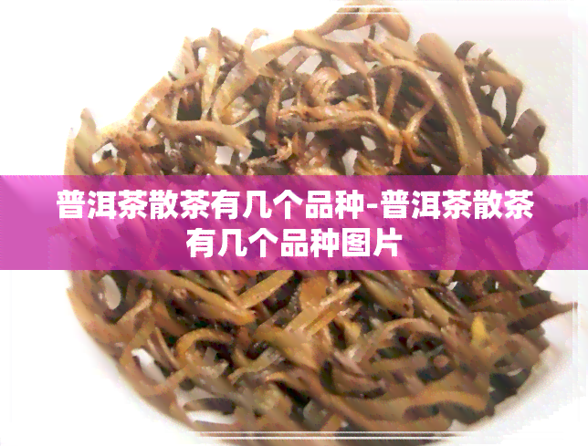 普洱茶散茶有几个品种-普洱茶散茶有几个品种图片