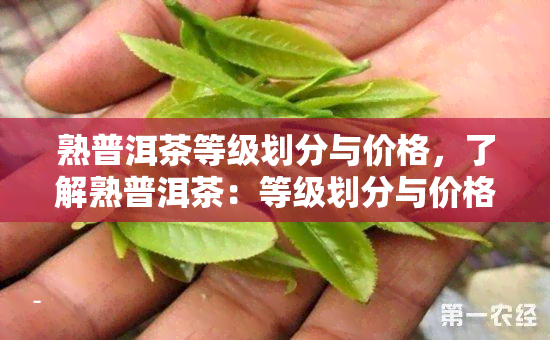 熟普洱茶等级划分与价格，了解熟普洱茶：等级划分与价格解析