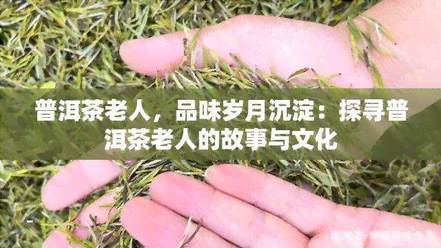 普洱茶老人，品味岁月沉淀：探寻普洱茶老人的故事与文化