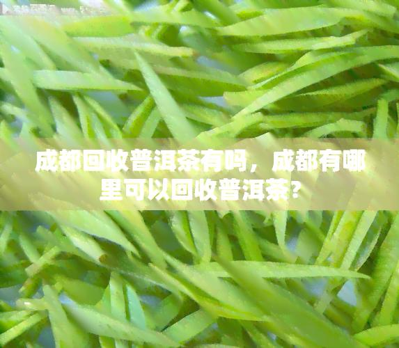 成都回收普洱茶有吗，成都有哪里可以回收普洱茶？