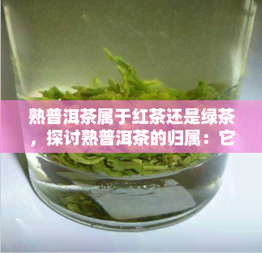 熟普洱茶属于红茶还是绿茶，探讨熟普洱茶的归属：它是红茶还是绿茶？