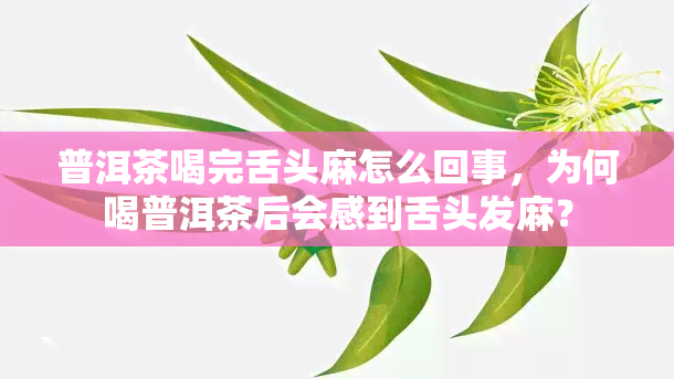 普洱茶喝完舌头麻怎么回事，为何喝普洱茶后会感到舌头发麻？