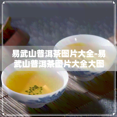 易武山普洱茶图片大全-易武山普洱茶图片大全大图