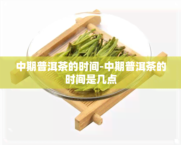 中期普洱茶的时间-中期普洱茶的时间是几点