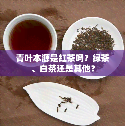 青叶本源是红茶吗？绿茶、白茶还是其他？