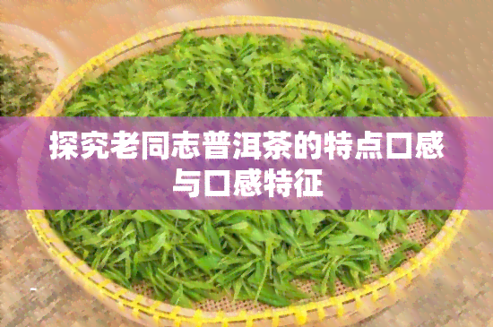 探究老同志普洱茶的特点口感与口感特征