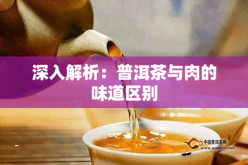 深入解析：普洱茶与肉的味道区别