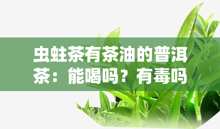 虫蛀茶有茶油的普洱茶：能喝吗？有吗？