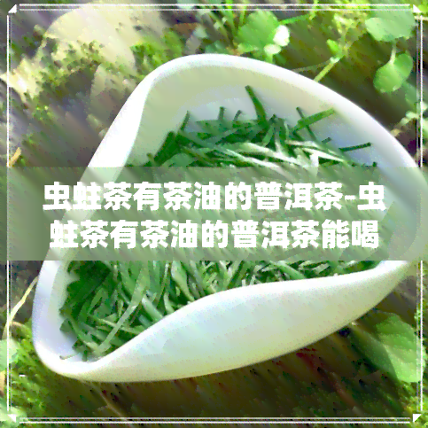 虫蛀茶有茶油的普洱茶-虫蛀茶有茶油的普洱茶能喝吗