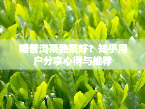 喝普洱茶熟茶好？知乎用户分享心得与推荐