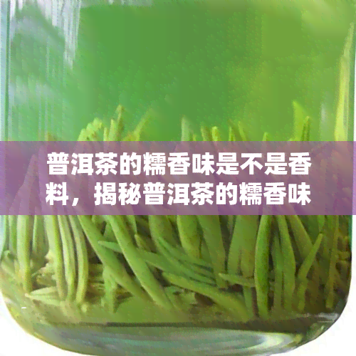 普洱茶的糯香味是不是香料，揭秘普洱茶的糯香味：是否源自香料？