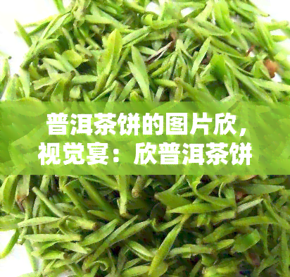 普洱茶饼的图片欣，视觉宴：欣普洱茶饼的美丽图片