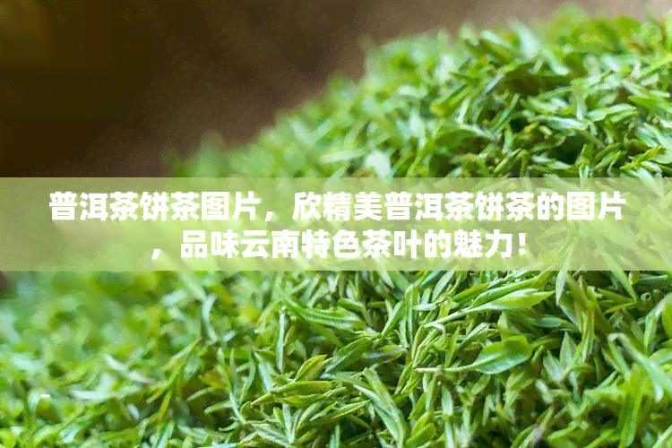 普洱茶饼茶图片，欣精美普洱茶饼茶的图片，品味云南特色茶叶的魅力！