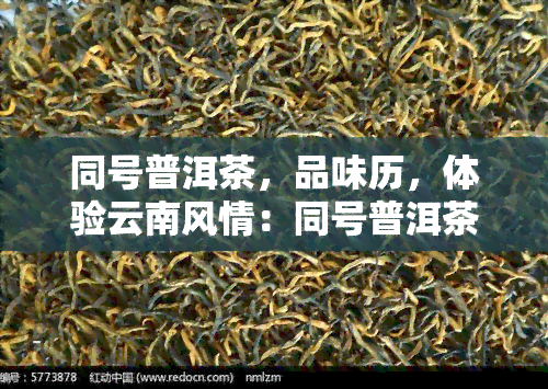 同号普洱茶，品味历，体验云南风情：同号普洱茶的魅力探究