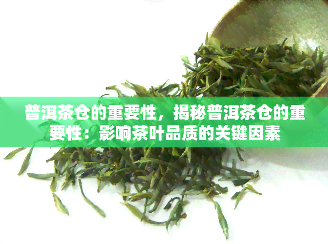 普洱茶仓的重要性，揭秘普洱茶仓的重要性：影响茶叶品质的关键因素