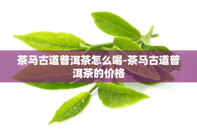 茶马古道普洱茶怎么喝-茶马古道普洱茶的价格