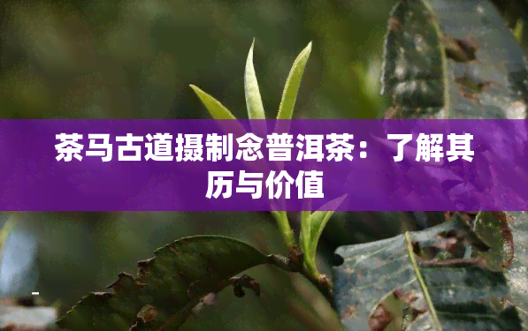 茶马古道摄制念普洱茶：了解其历与价值