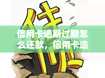 信用卡逾期过期怎么还款，信用卡逾期后如何及时还款？