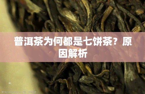 普洱茶为何都是七饼茶？原因解析