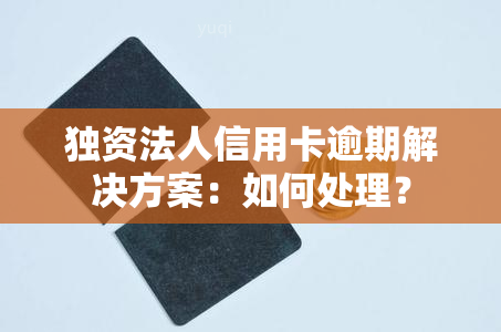 独资法人信用卡逾期解决方案：如何处理？