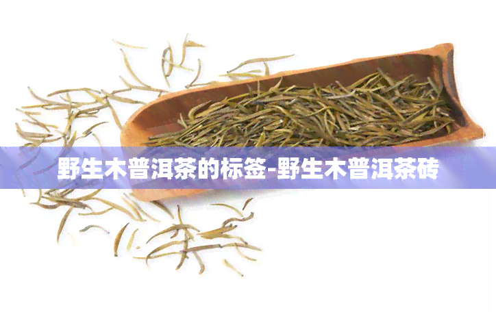 野生木普洱茶的标签-野生木普洱茶砖