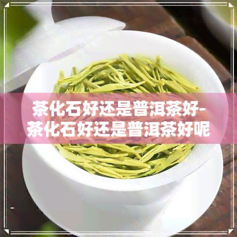 茶化石好还是普洱茶好-茶化石好还是普洱茶好呢