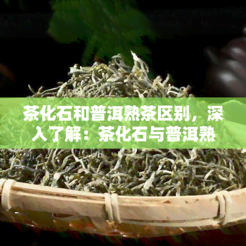 茶化石和普洱熟茶区别，深入了解：茶化石与普洱熟茶的区别