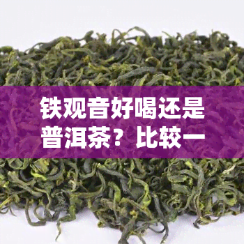 铁观音好喝还是普洱茶？比较一下就知道了！