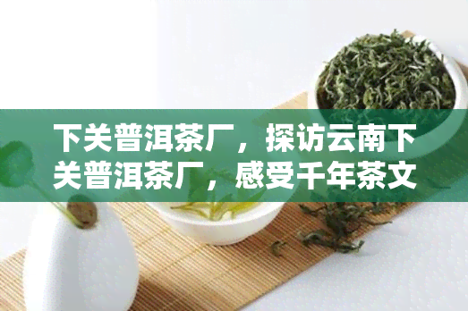 下关普洱茶厂，探访云南下关普洱茶厂，感受千年茶文化的魅力