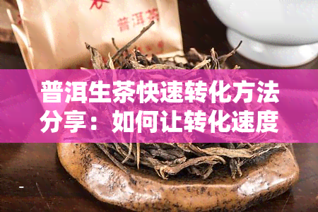 普洱生茶快速转化方法分享：如何让转化速度更快？