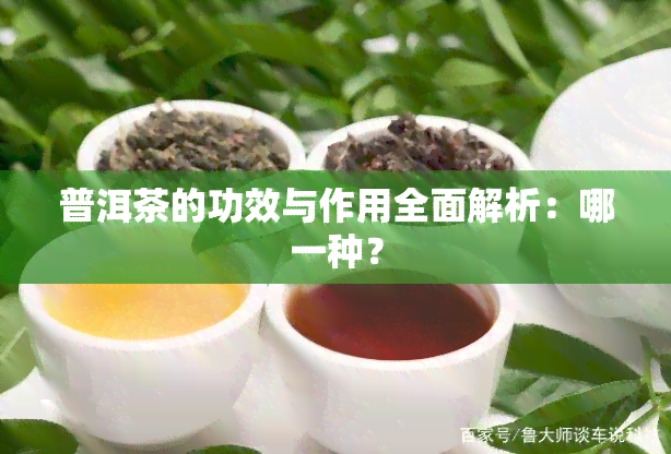 普洱茶的功效与作用全面解析：哪一种？