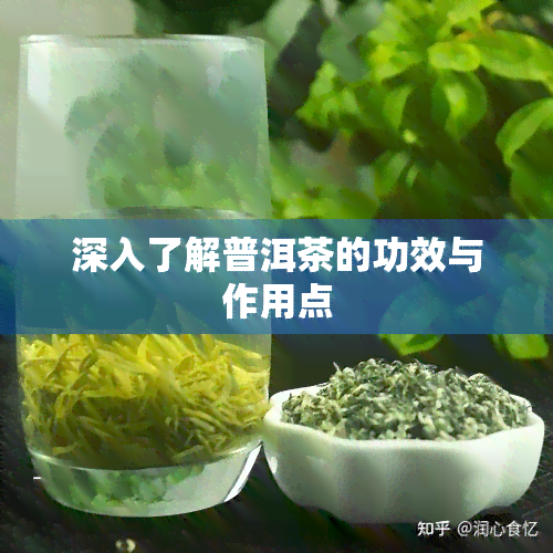 深入了解普洱茶的功效与作用点