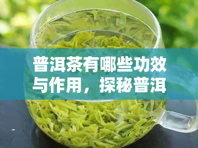 普洱茶有哪些功效与作用，探秘普洱茶的神奇功效与作用