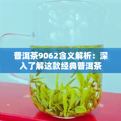 普洱茶9062含义解析：深入了解这款经典普洱茶