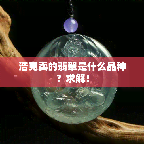 浩克卖的翡翠是什么品种？求解！