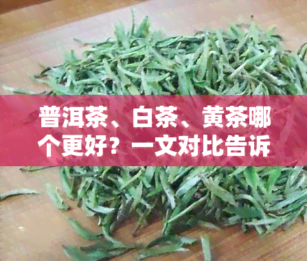 普洱茶、白茶、黄茶哪个更好？一文对比告诉你！