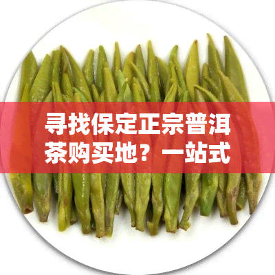 寻找保定正宗普洱茶购买地？一站式解决！